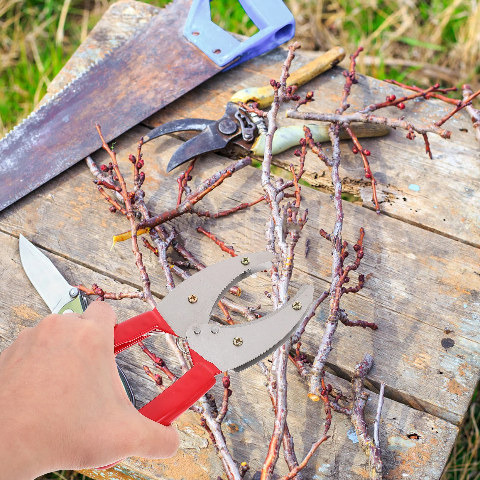 

Fruit Tree Girdling Cutter Adjustable Bark Stripping Tool For Planting Pruning Girdling Tool Fruit Peeling Cutting