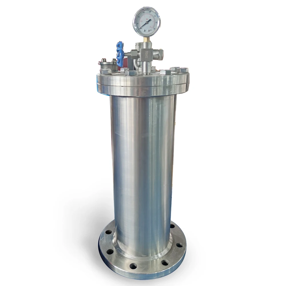 

Stainless Steel Ss304 Water Hammer Arrestor Absorbers