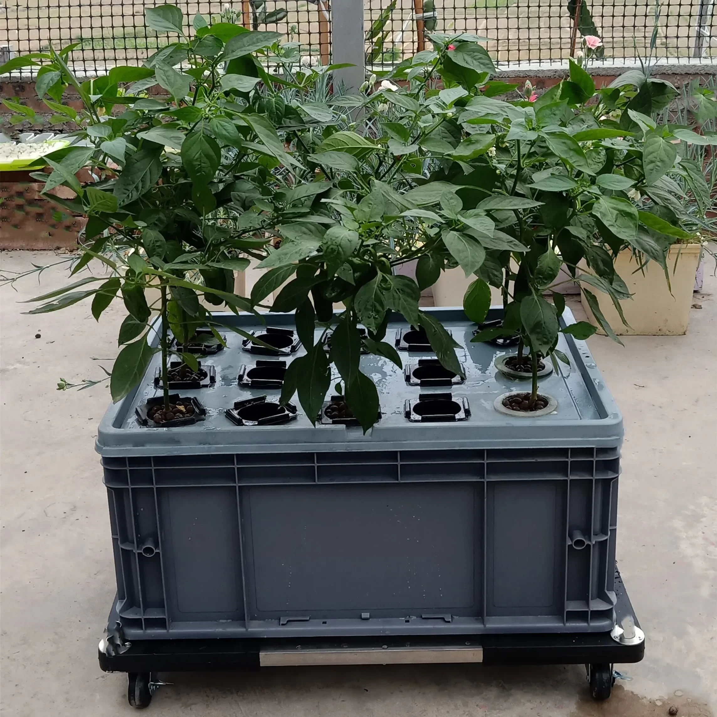 Balcony Soilless Cultivation Vegetable Planter Hydroponic Equipment Household Vegetable Planting Melon Fruit Family Special