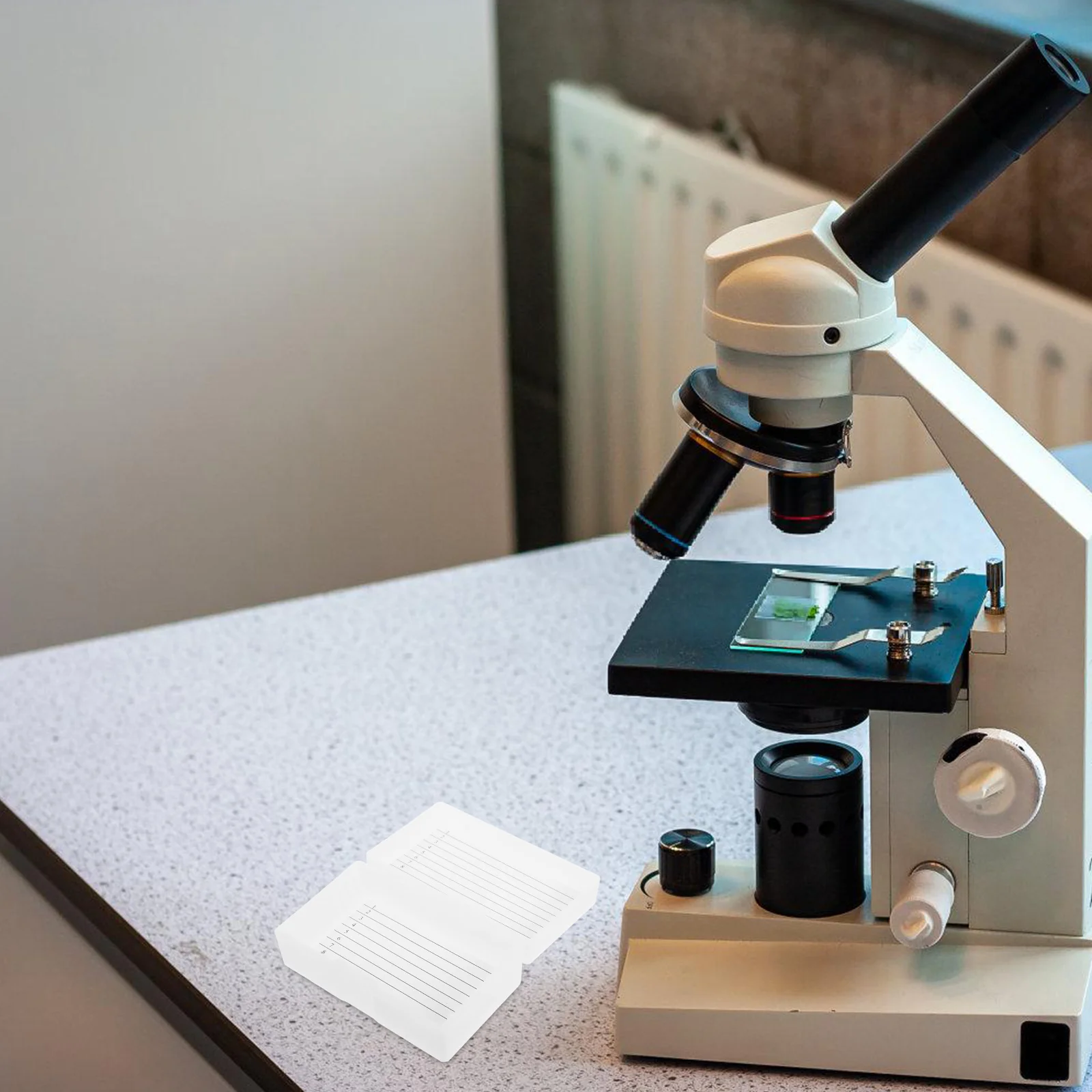 

Large Capacity Pathology Plastic Slide Storage Case for Microscope Slides Organization in Laboratory