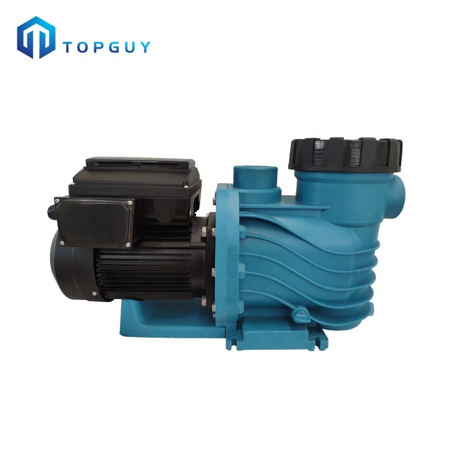 Custom Single Speed 1HorsePowerABS Water Pump With Sand Filter And British Plug For Swimming Pool Circulation Essential Pool Equ