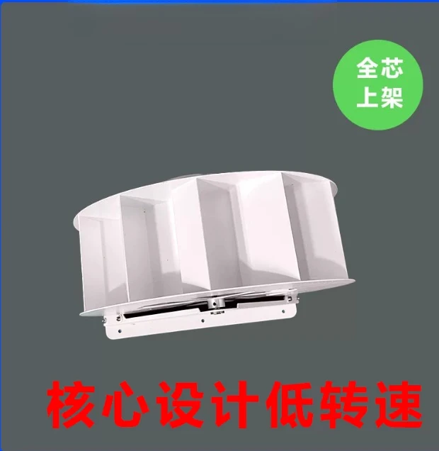 50W/100W Water Turbine Generator, DIY Micro Hydroelectric Generator, Low-Speed Disc Coreless Generator for Outdoor Home Use