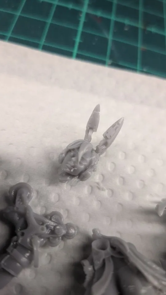 Buyer photo of this resin kit