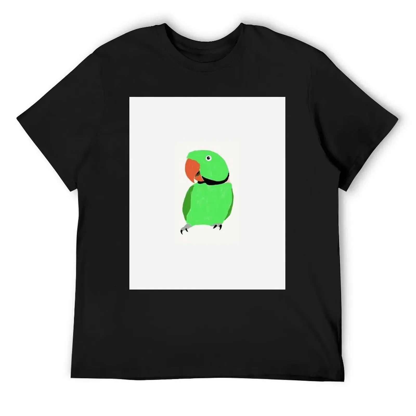 Alexandrine Parakeet 2 T-Shirt aesthetic clothes shirts graphic Short sleeve tee men