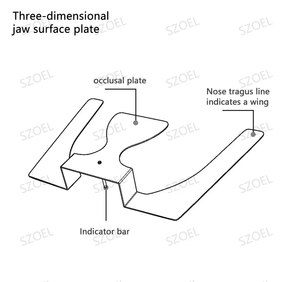 Dental Orthodontic 3D Occlusal Maxillary Casting Jaw Fox Plane Plate Complete Denture Three-Dimensional