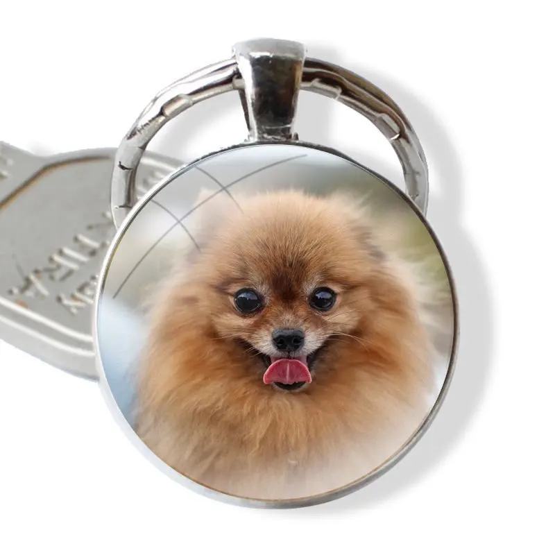 Keychain Handmade Glass Cabochon Key Ring Holder Pendant Key Chains Pomeranian dogs dog