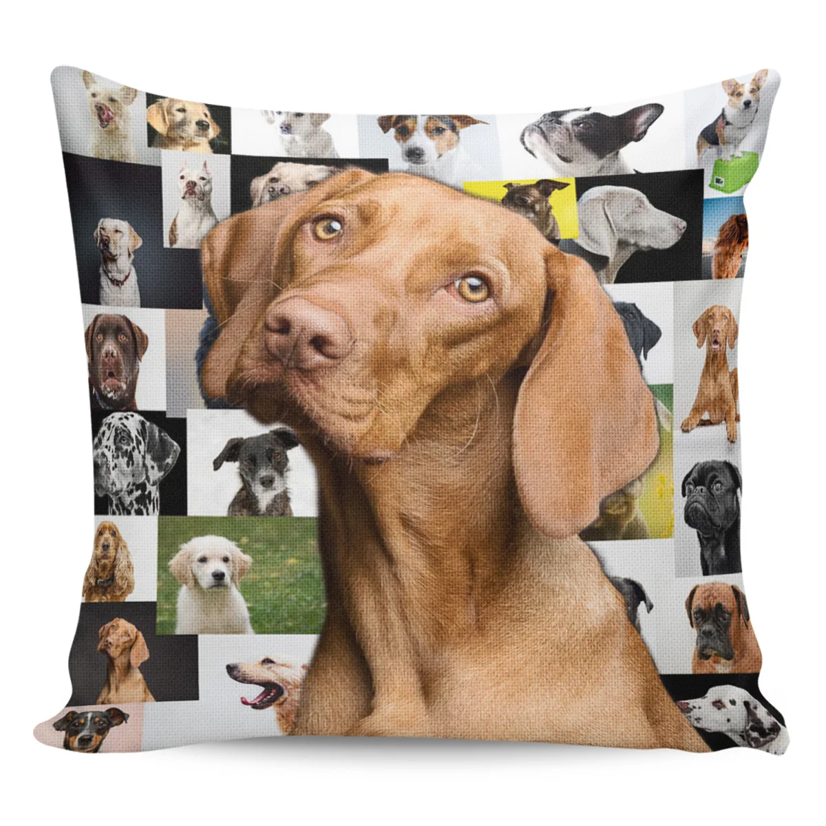 

2/4PCS Waterproof Pillow Cover Dog Portrait Great Dane Square Throw Pillowcase Home Decorations Home Sofa Cushion Cover