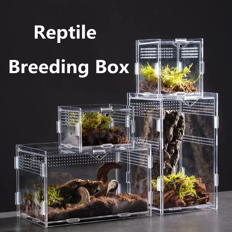 

Reptile Terrarium Breeding Box Insect Supplies Boxes Reptile Product Hermit Crab Feeding Assembled Acrylic Transparent Box