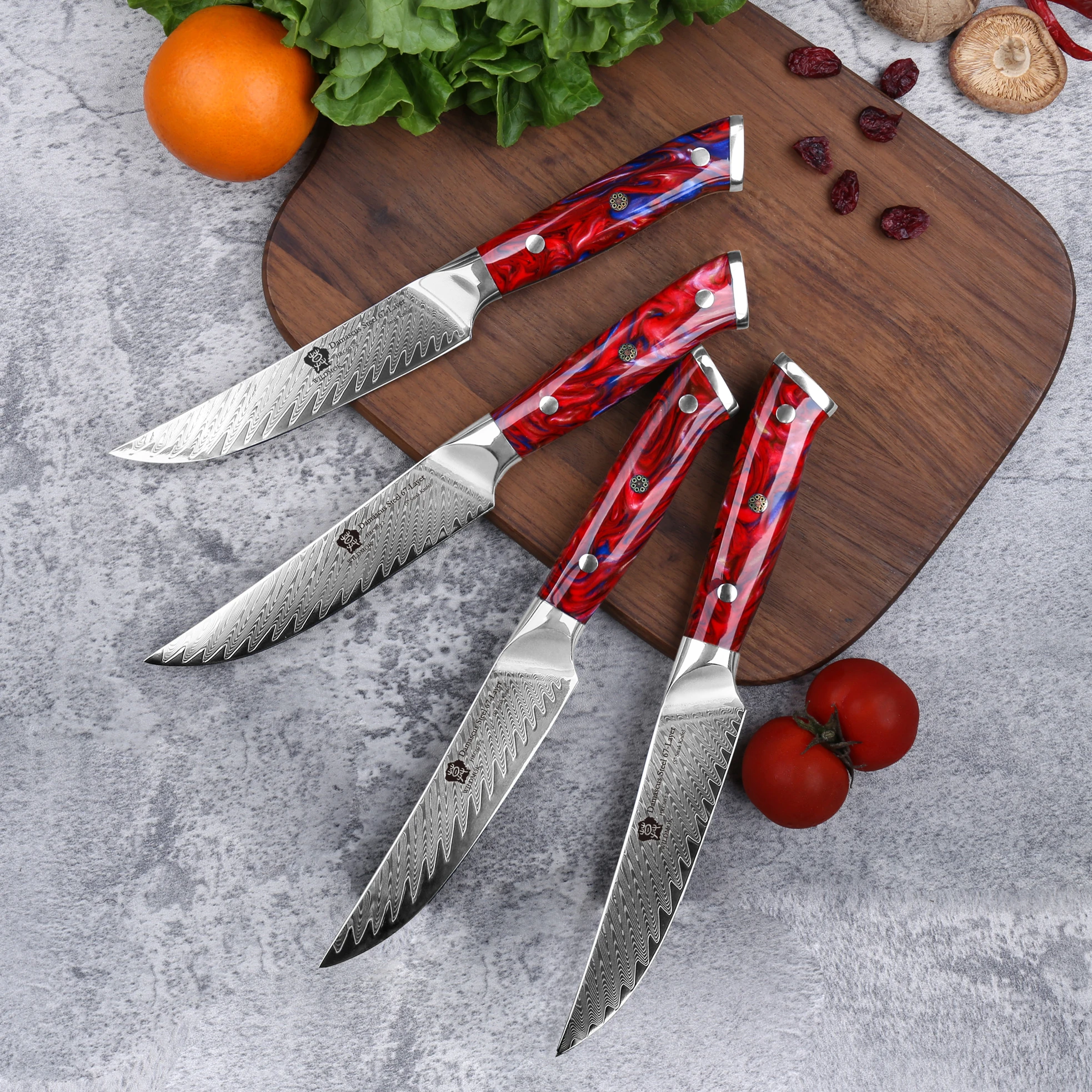 WILDMOK 4-Piece 5 Inch Non-Serrated Steak Knives, 67-Layer VG10 Damascus Steel Table Knives with Luxury Resin Handle