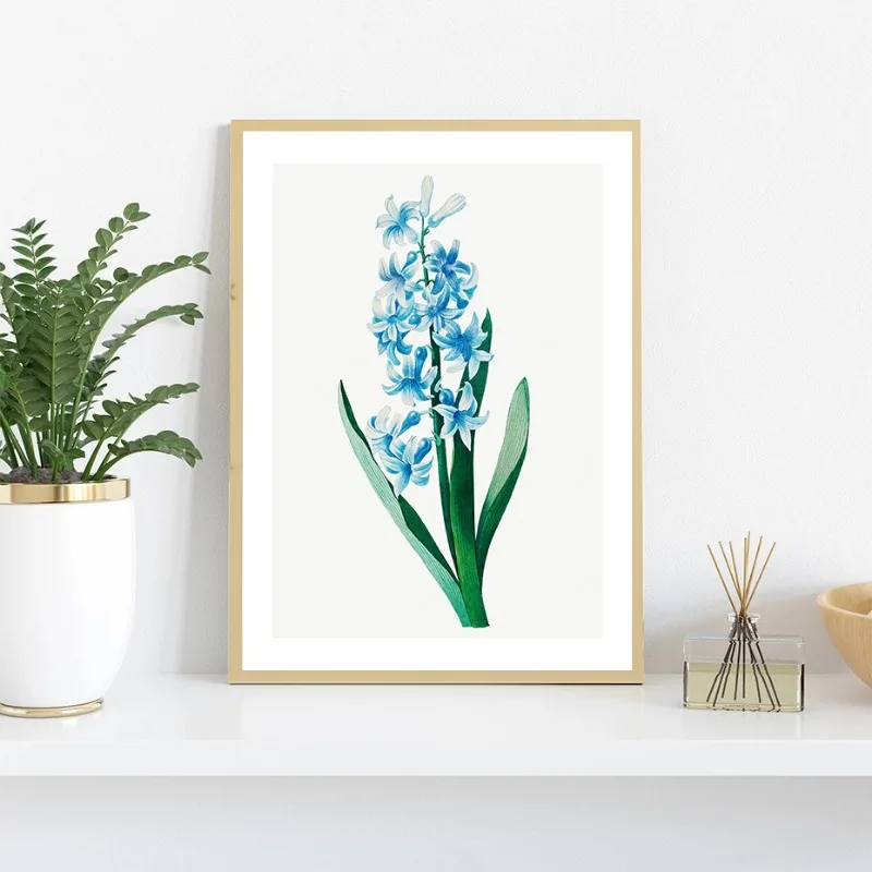 Vintage Flower Botanical Illustration Egyptian Lotus Californian Lilac Tulip Sunflower Nature Plant Canvas Art Home Decor Gift