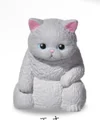 gray cat