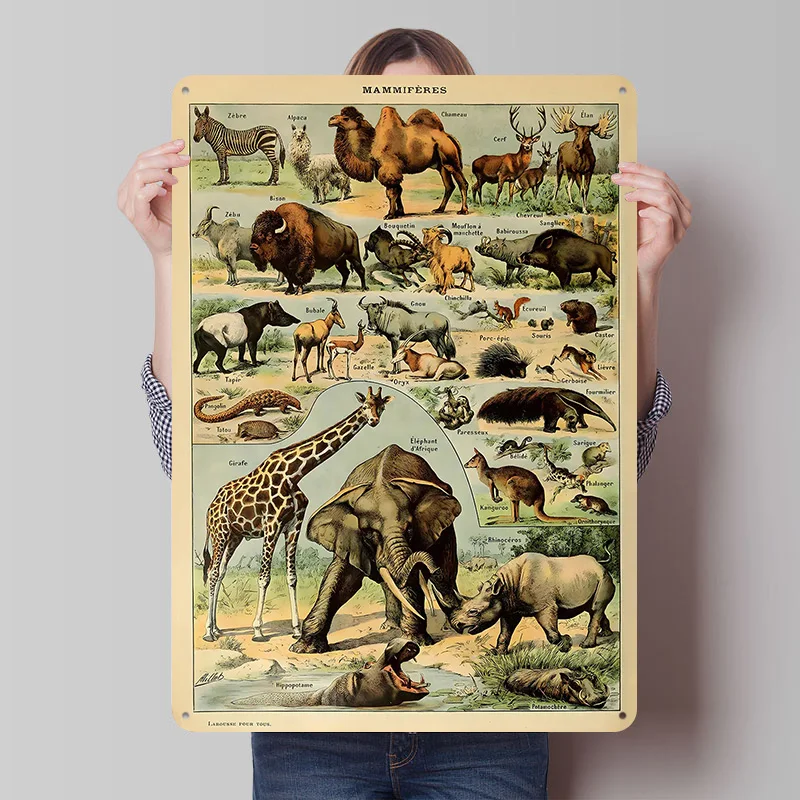 Adolphe Millot Mammals V1 Blechposter, individuelle Wandkunst, Vintage-Metallschilder, Retro-Blechtafel für moderne Heimdekoration, luxuriös