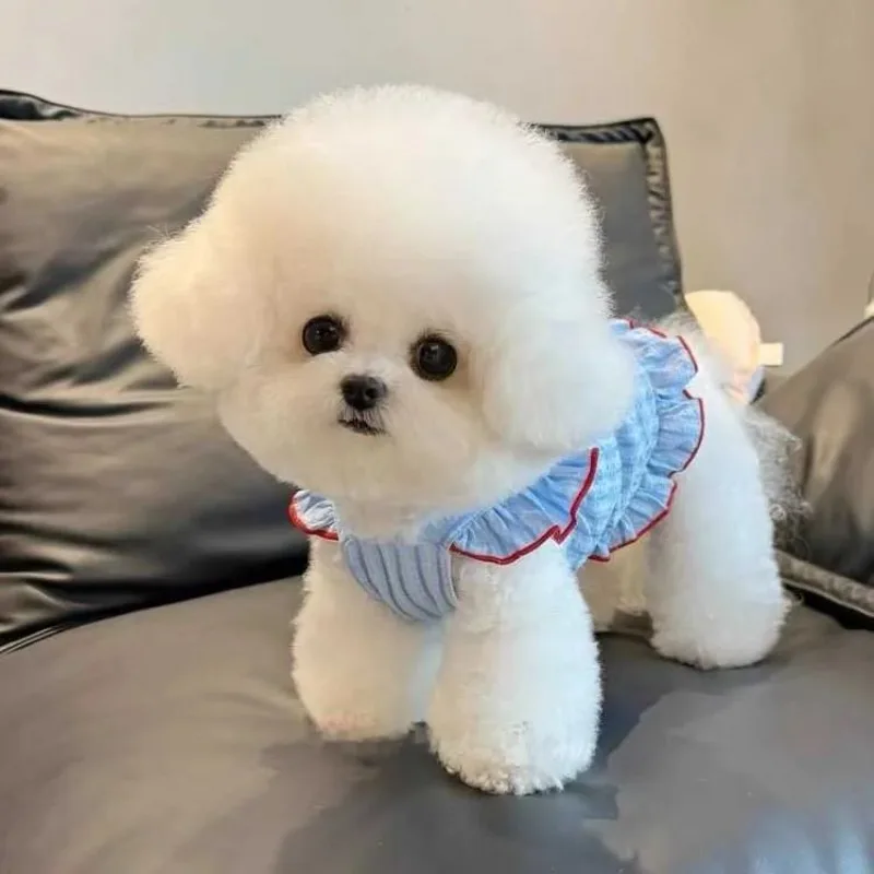 

Pet Princess Skirt Dress Thin Summer Dog Clothes Teddy Bichon Pomeranian Schnauzer Pet Clothes Pet Cats Dress for Small Dog