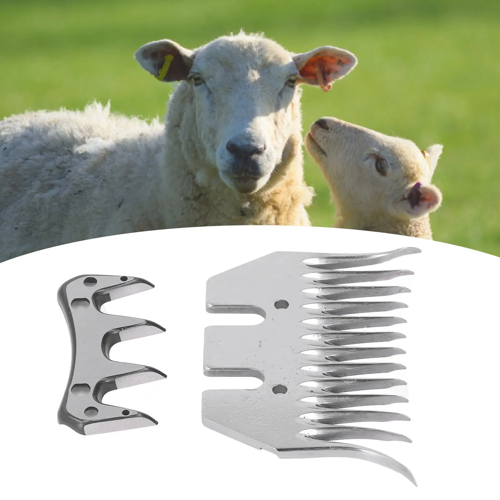 13 Teeth Curved Sheep Shears Blades Wool Clipper Comb Trimmer Cutter Set Kit for Grooming