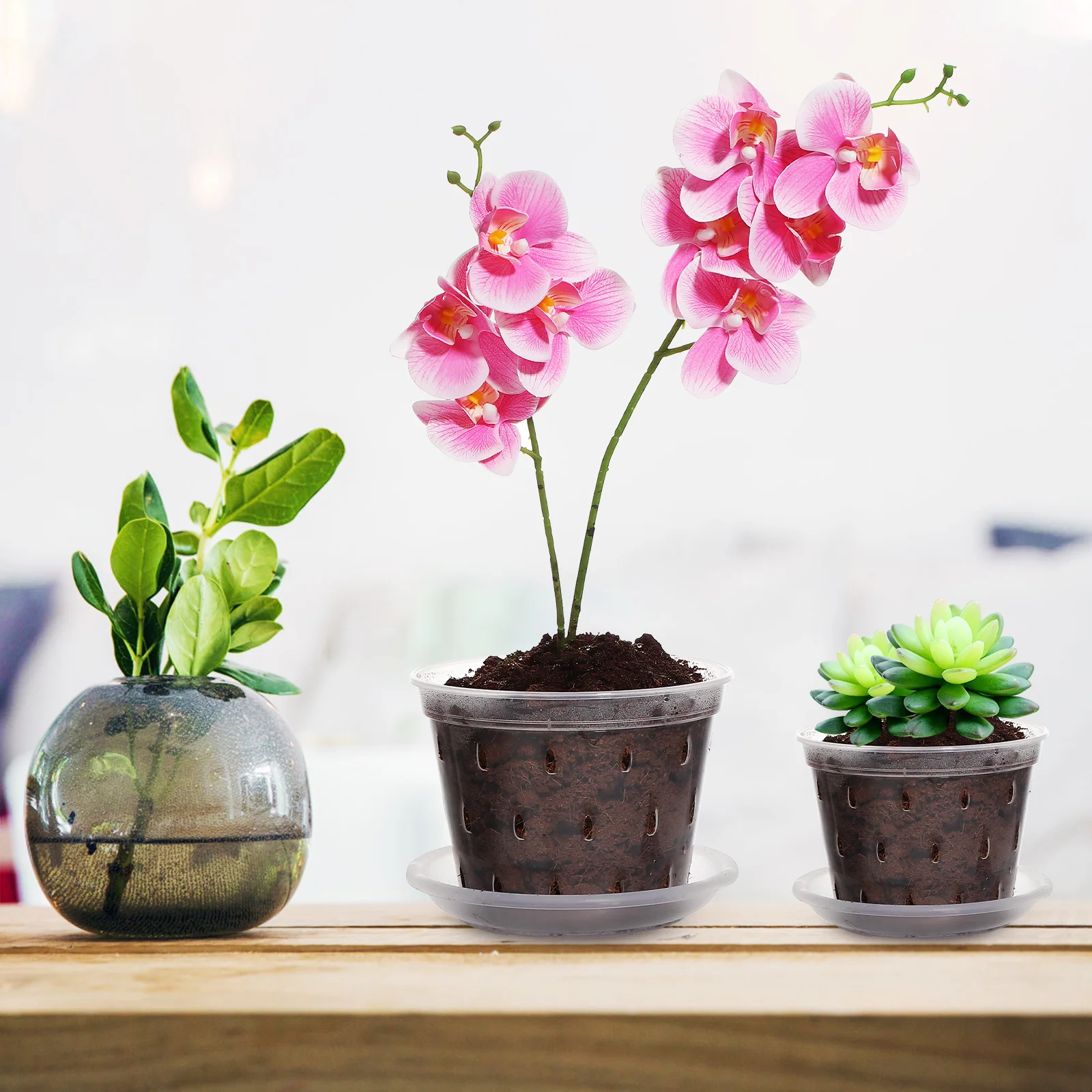 

3pcs Plastic Orchid Pots Clear With Drainage Holes For Greenhouse Indoor Outdoor Gardening Nursery Flowerpots Transparent Grow