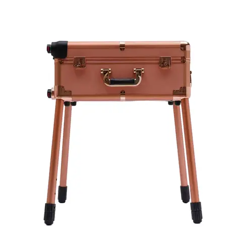 Aluminum Trolley Makeup Train Case with 8 LED Light, Adjustable Leg Height Portable Travel Rolling Makeup Storage Box Organizers