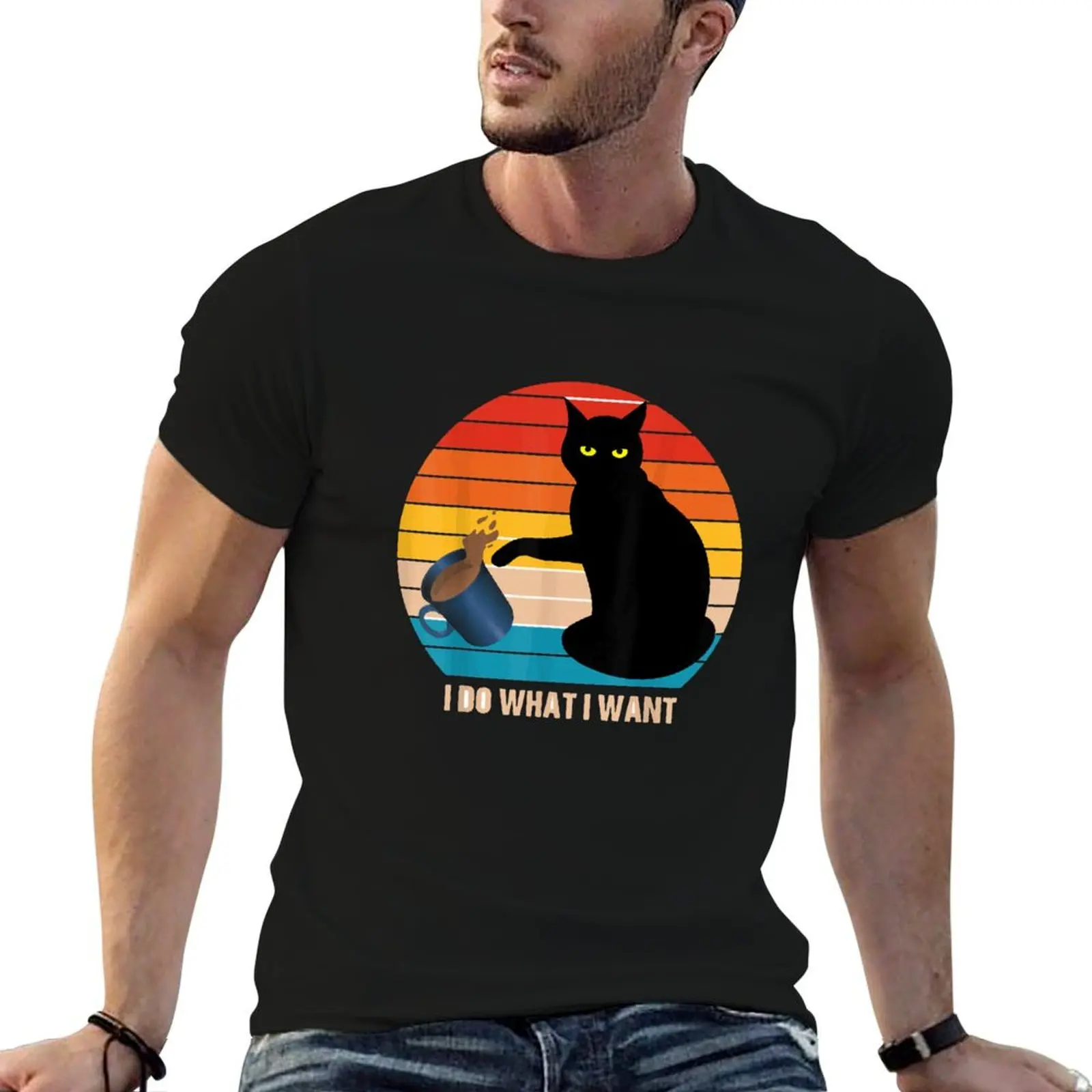 Black cat i do what i want T-Shirt Holiday Simple Tee Shirt
