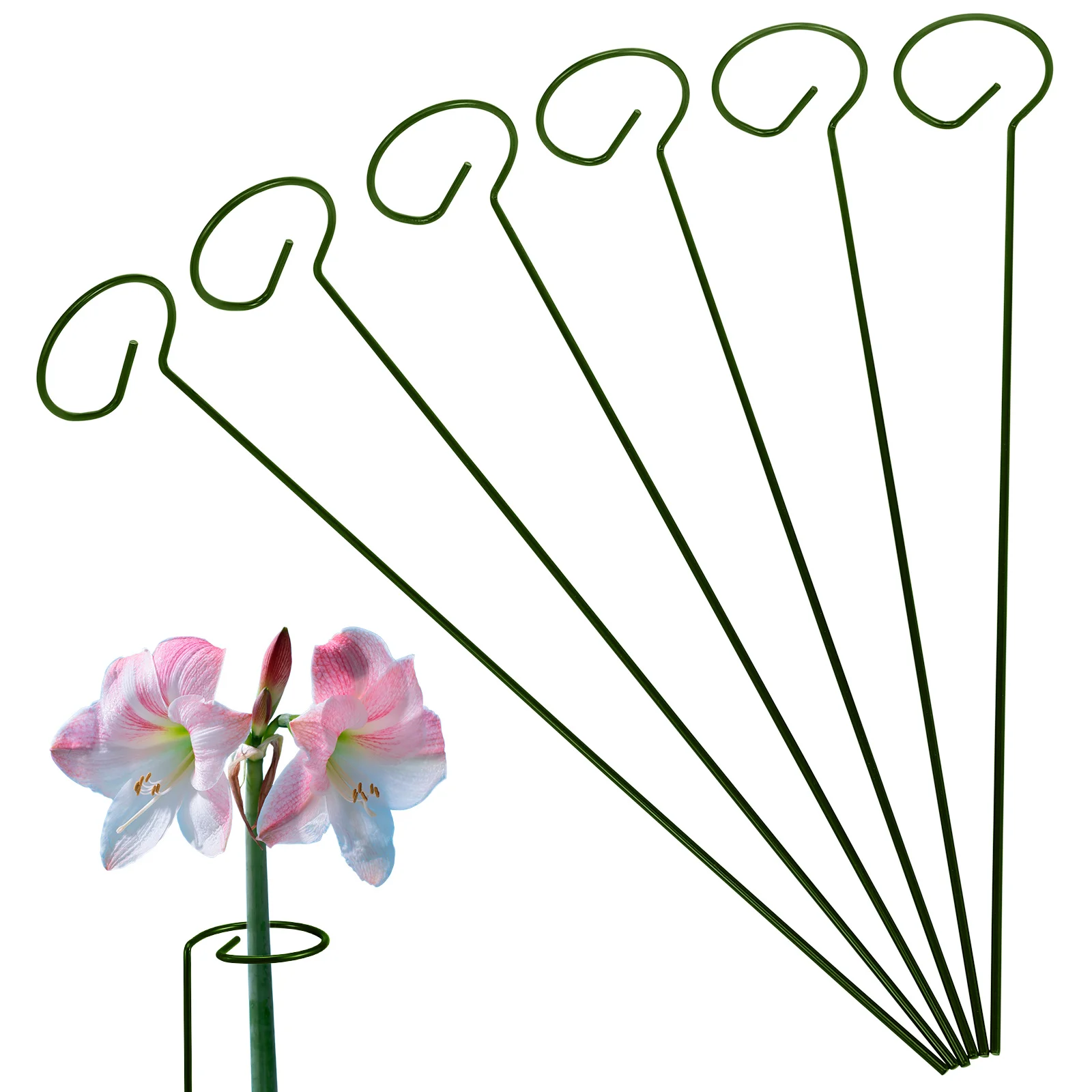 

6 Pcs Plant Support Stakes Metal Vine Trellis Frames for Flower Ring Pots Indoor Plants Climbing Rack Stem Support Pole chid