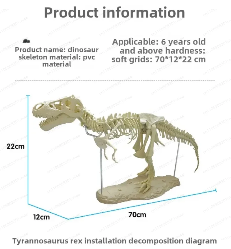 4D Tyrannosaurus Rex Excavation Science Kit Dig Up Dinosaur and Assemble a 4D Skeleton Ancient Animal Fossil Skull 14Years & up