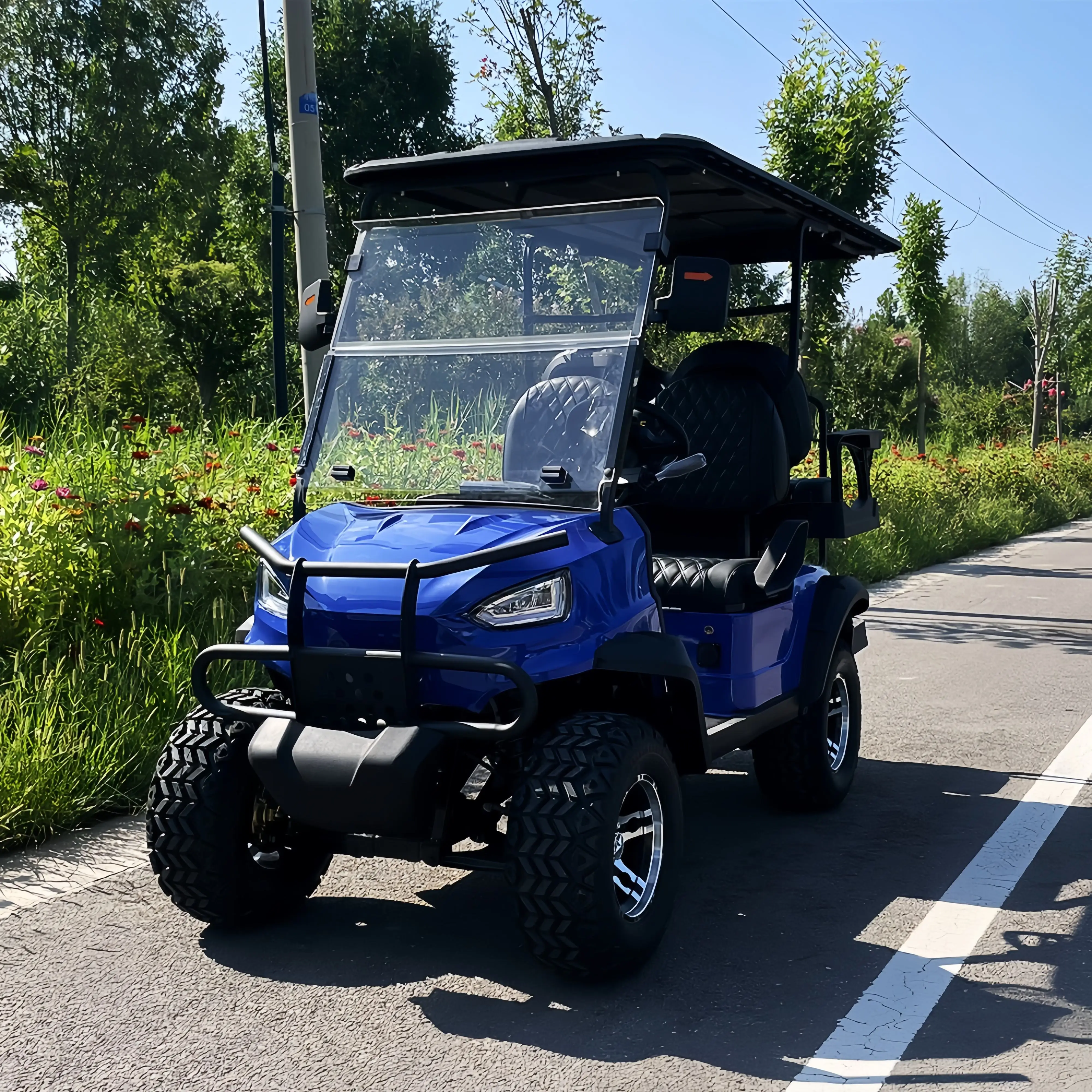 عربة جولف كهربائية، عربة جولف رائدة للصيد على الطرق الوعرة، مع عربة يد كهربائية ذاتية الحماية على الطرق المنحدرة #5