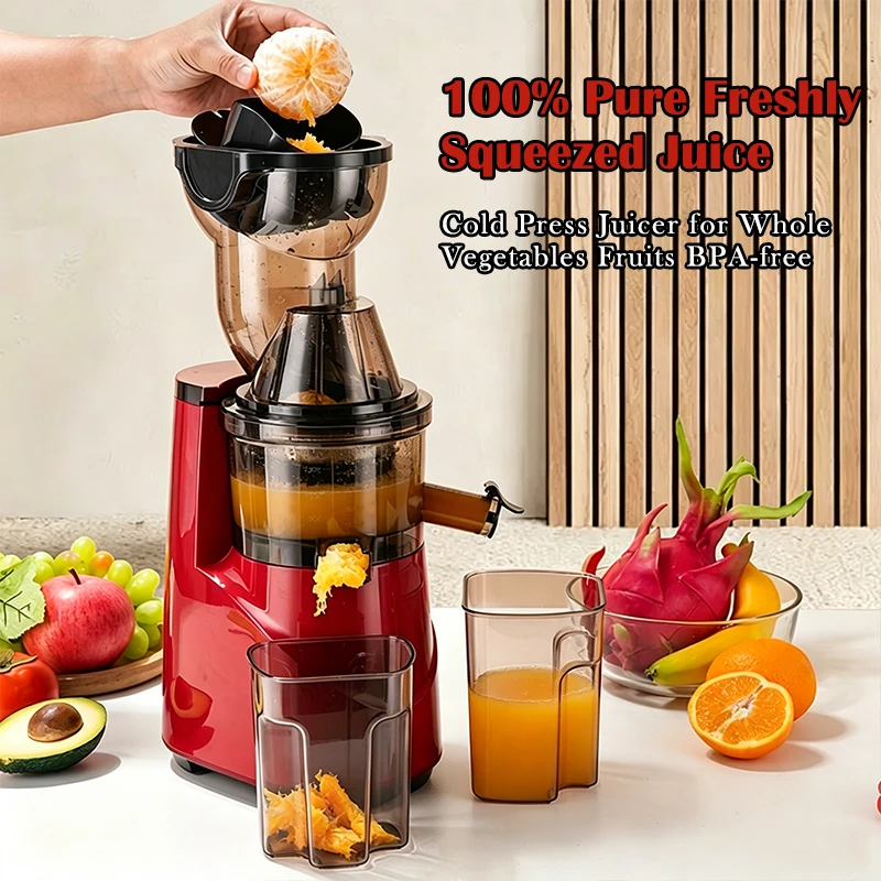 220V Cold Press Juicer Home Slag Separation Ginger Fruit Veg