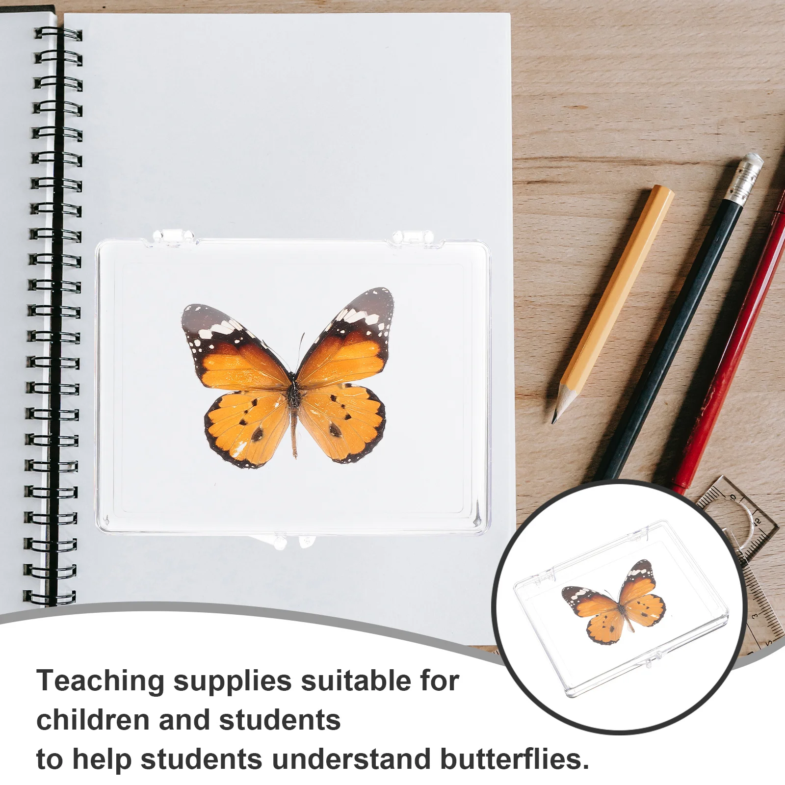 

Butterfly Specimen Display Box Plastic Frame Decorative Specimen Craft Desktop Stand Teaching Supplies Gift Display Box