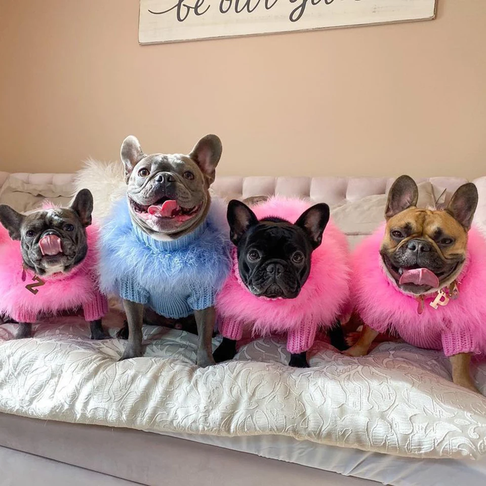 Imagem -02 - Cabolsa de Pele Nonor Suéter Quente Roupas para Animais de Estimação Buldogue Francês Pug Bichon Luxo Calor Outono e Inverno