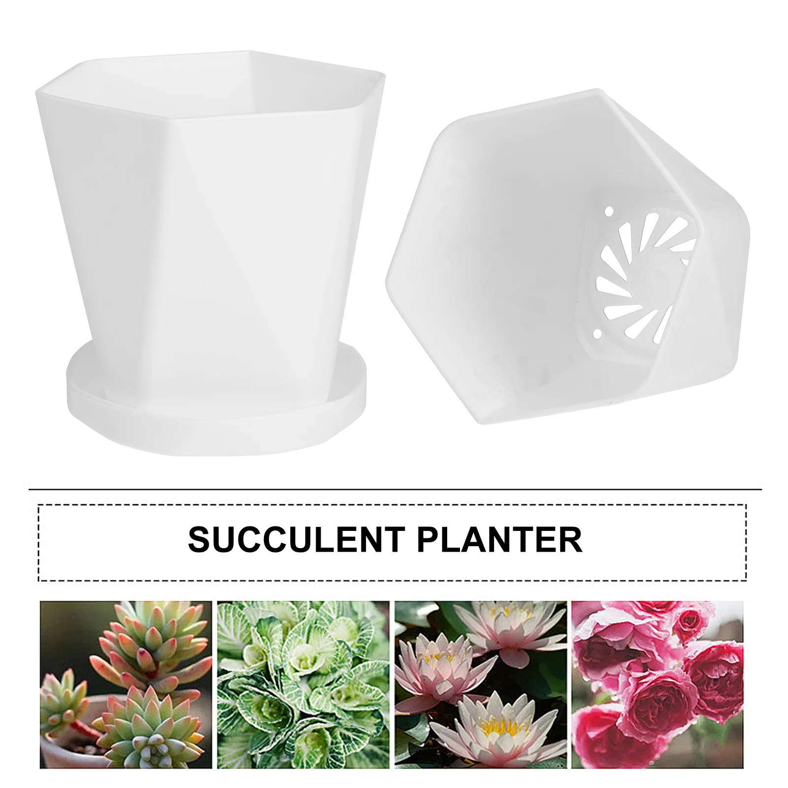 

6 set Plastic Flower Pot With Tray For Succulents Herbs Cactus Garden Home Office Desktop Modern Planter Gardening Container