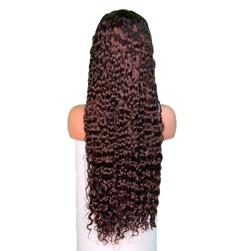 Curly Glueless Wig 13X4 Frontal Human Hair