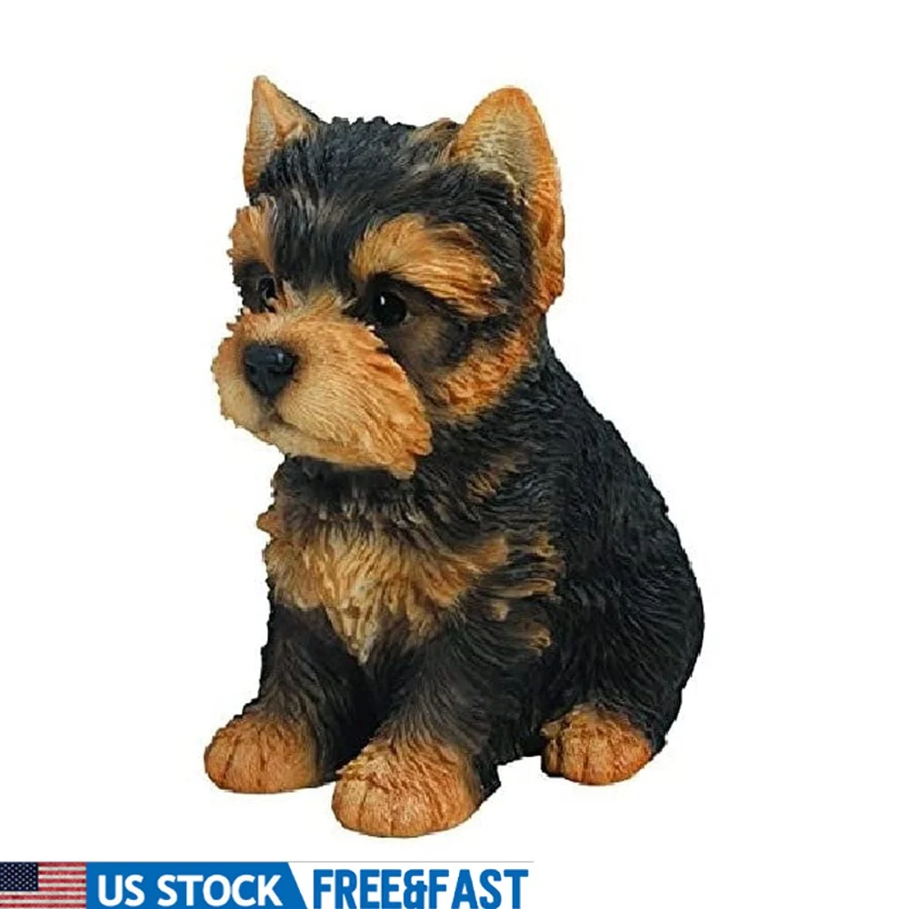 

Realistic Yorkshire Terrier Puppy Statue Detailed Craftsmanship Indoor Outdoor Decor Gift Garden Lawn Home Office Polyresin