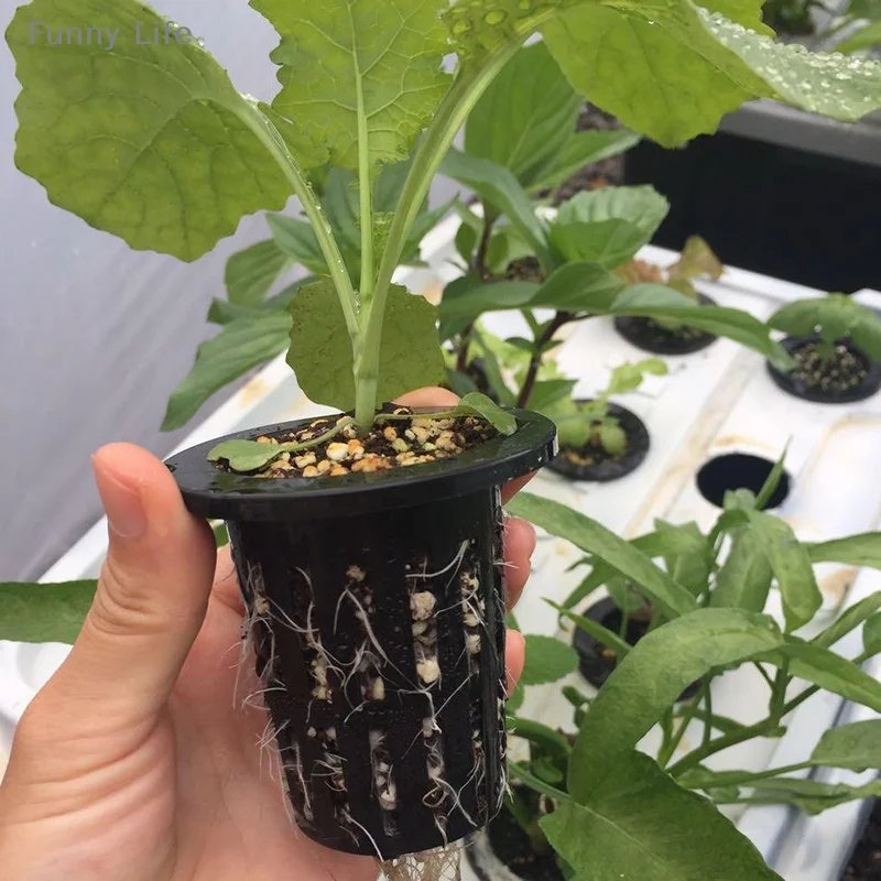 

【HMA20】25Pcs Hydroponic Basket Garden Vegetable Soilless Grow Net Pot Aeroponics Plastic Planting Mesh Pots【ww】