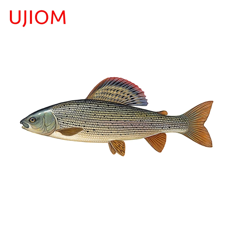 UJIOM 13cm X 5.3cm Arctic Grayling Fish Creativite Wall Stickers Refrigerator Decal Personality Wallpapers Home Decoration