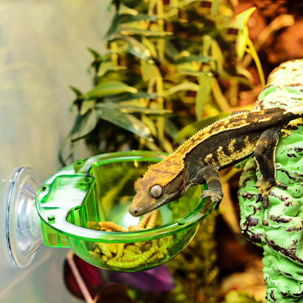 

4pcs Reptile Food Feeder Bowl Suction Cup Wall Hanging Anti-Escape Lizard Dragon Gecko Pet Water Dish Feeding Basin Pet Bowl