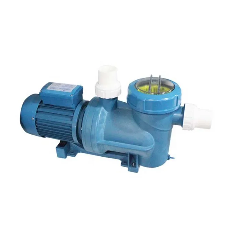 Professional Wholesale Commercial Electric 800W Swimming Pool Pump