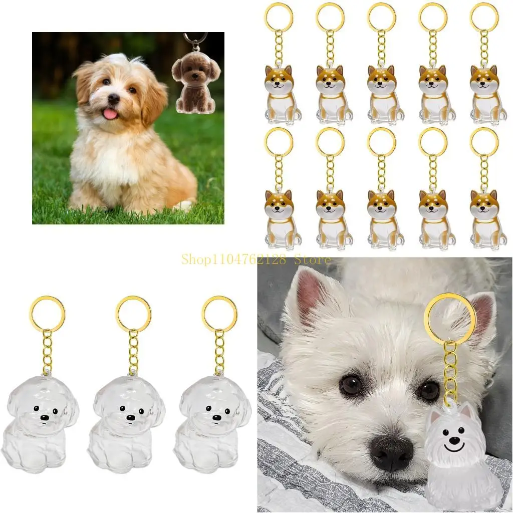 2/3/4/5/10Pcs Pet Memory Keyring Furs Collection Box Pendants For Remembrances best sale