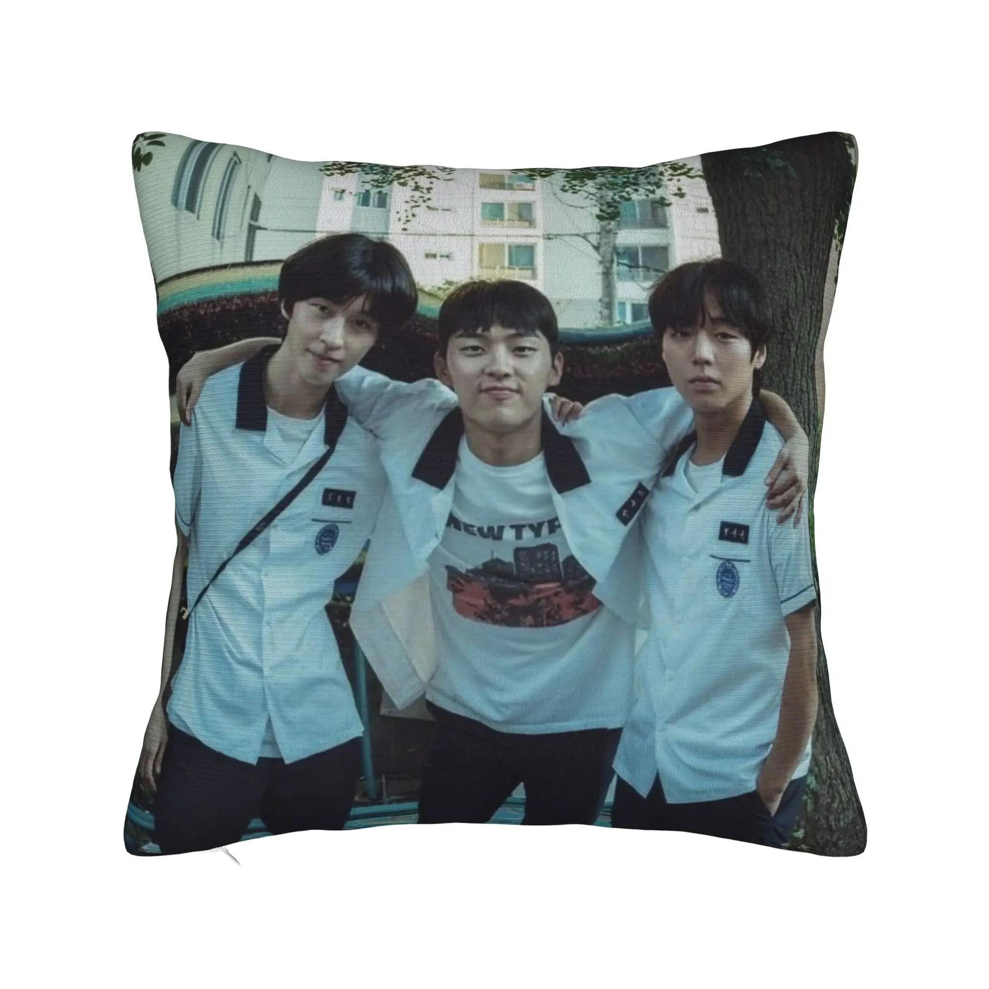 Pillow Cover Hot Kdrama Weak Hero Class  Funny Pillow Case For Living Room Bed Chair Pillowcases