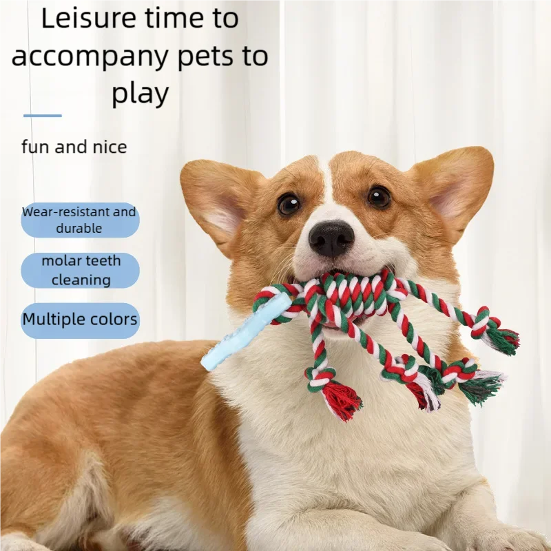 Baumwolle Seil Seestern Hund Spielzeug Biss Beständig Kauen Spielzeug Für Welpen Zähne Reinigung Gefüllte Interaktive Haustier Spielen Spielzeug Für Kleine Hunde