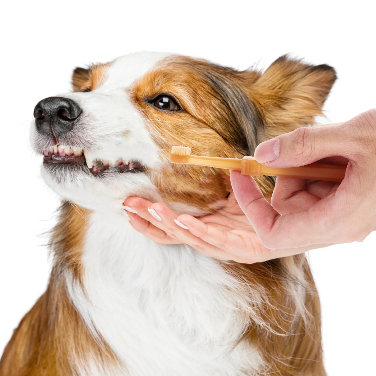 

Pet Toothbrush Set 360° Double Headed Silicone Brushes for Cats Dogs Puppy Small Dog Toothbrush Kit Oral Cleaning Tools