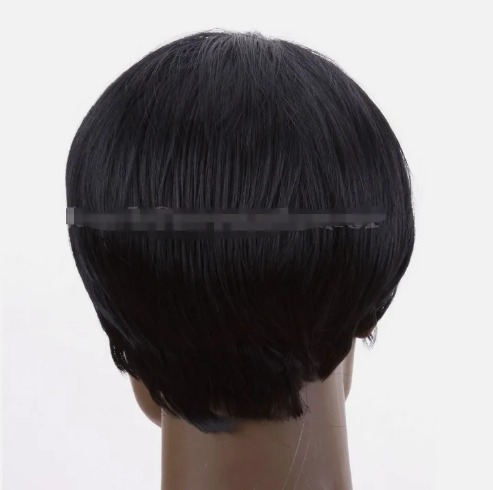 Pixie Wig Short Cut Fashion Women Cosplay Party Straight Black Synthetic Wigs US