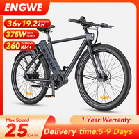 Electric Bike, 250W Brushless Motor 36V19.2AH Lithium Battery, Aluminum Alloy Ebike, 27.5 \