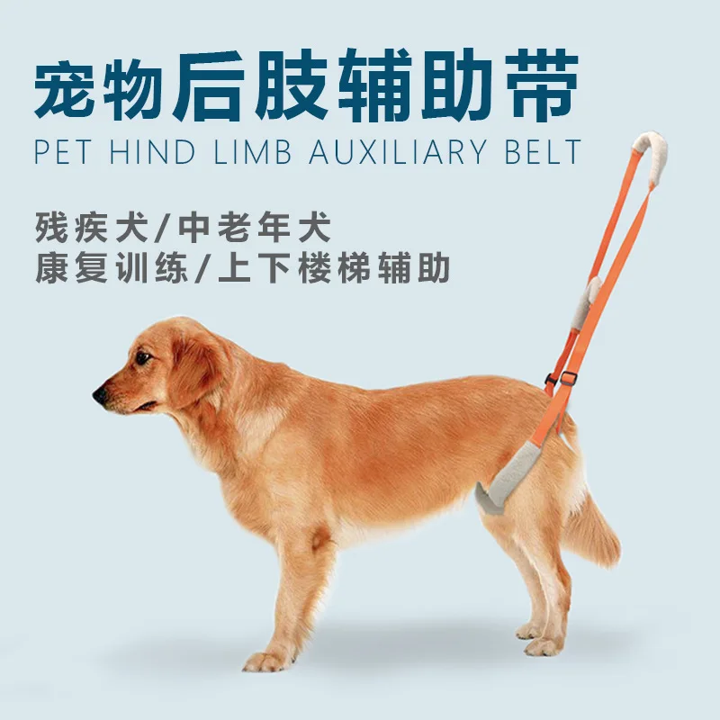 

Новый портативный пояс для помощи домашних животных с собачьими лестницами, реабилитационный тренировочный пояс для подъема домашних животных