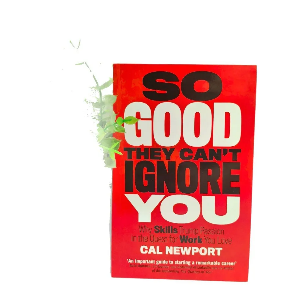 

So Good They Can Ignore You Cal New Book