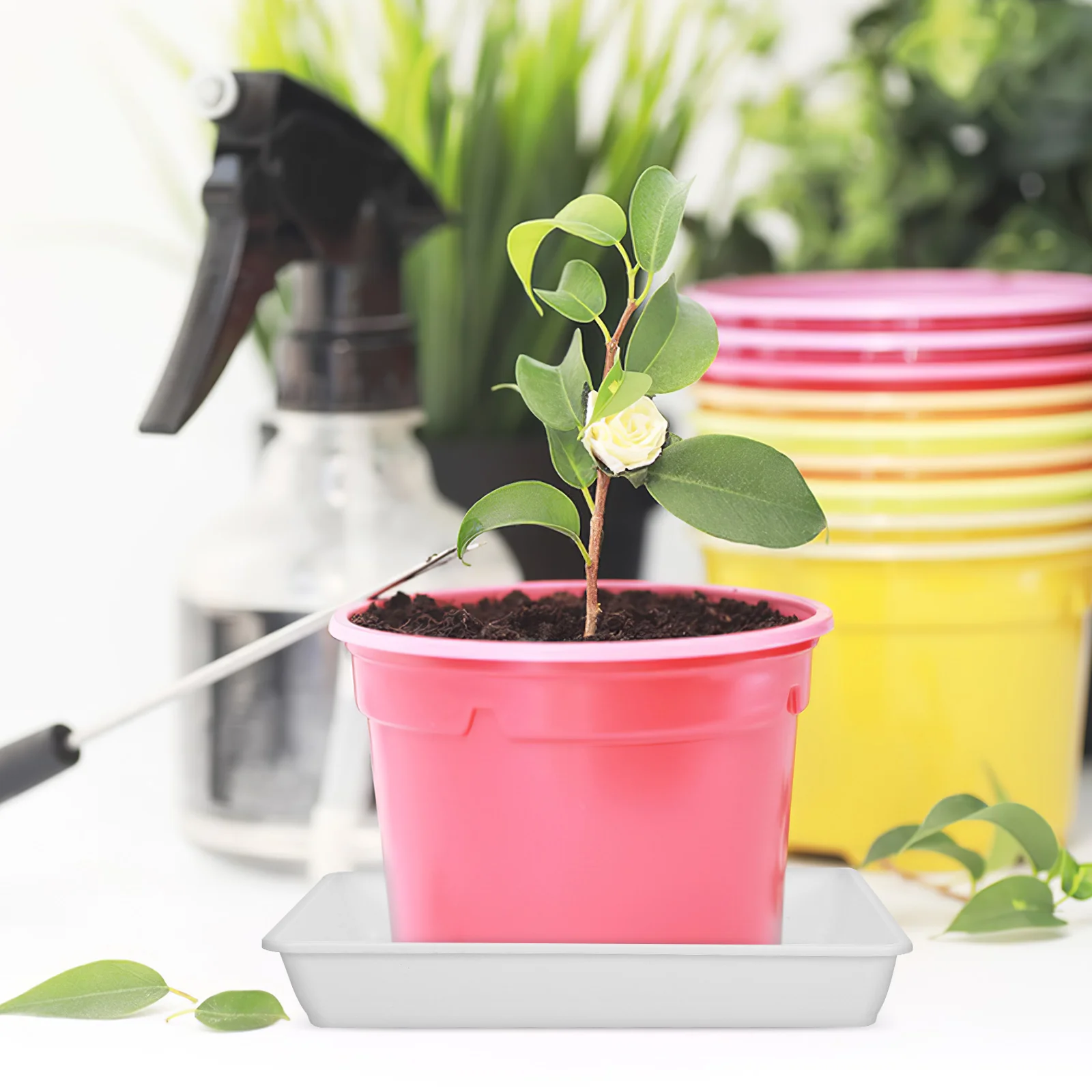 

2 Pcs Square White Plant Saucers Small Flower Pot Drip Tray for Indoor Plants Drainage Protection Sturdy Plastic Garden