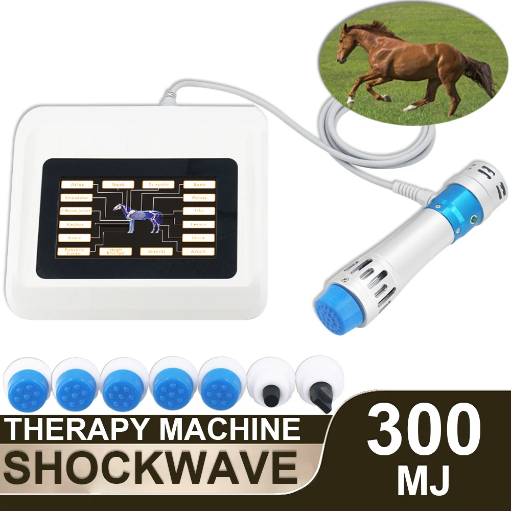 

﻿ Professional Animals Shockwave Therapy Machine Pain Relief Heel Rehabilitation Deep Muscle Massage Veterinary Horse Shock Wave