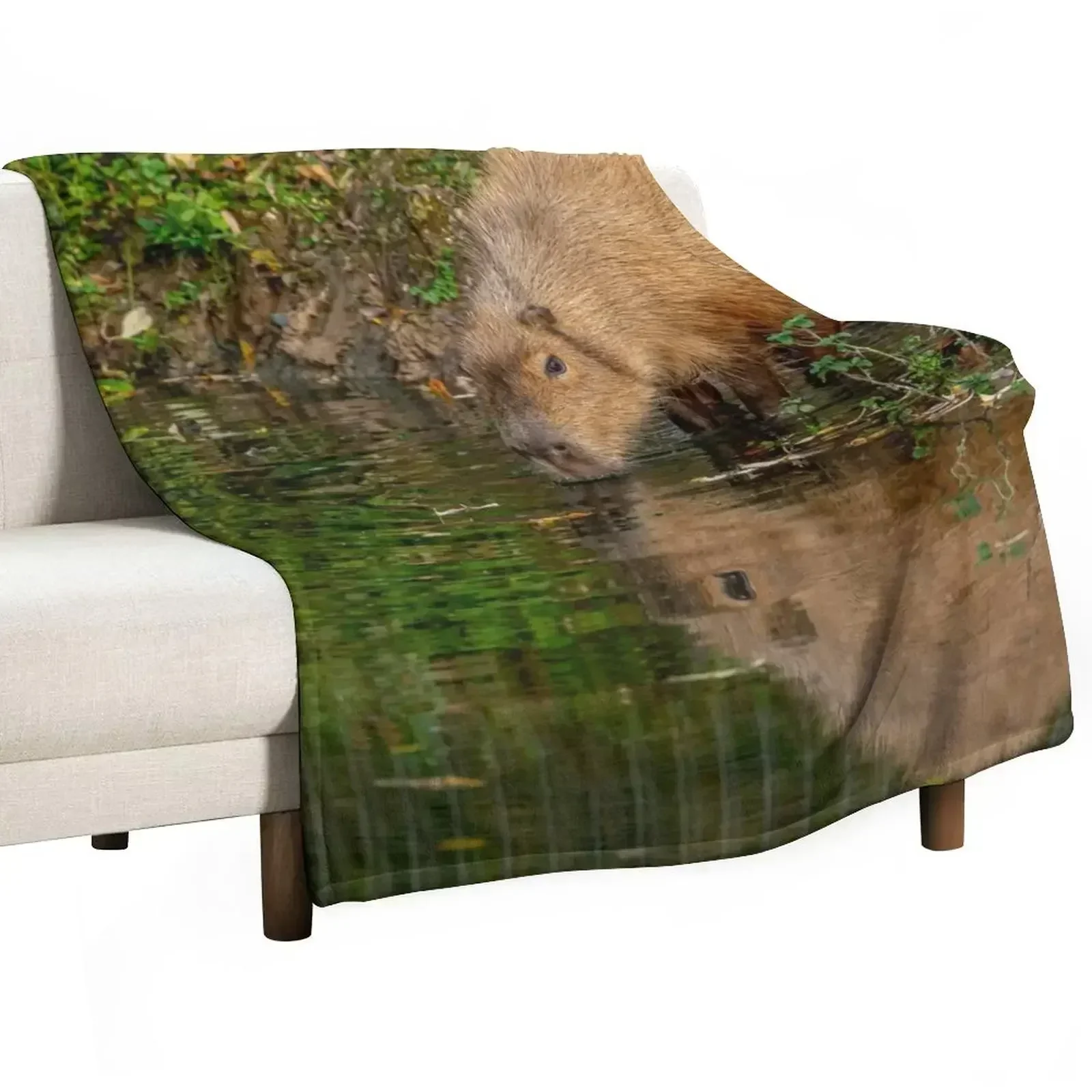 

Capybara taking the water Throw Blanket Single Summer Blankets