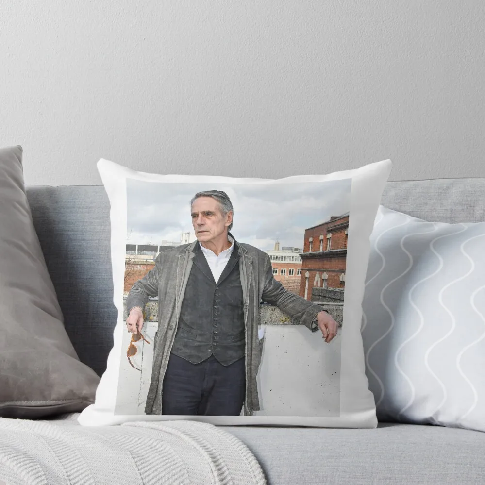 

JEREMY IRONS Throw Pillow Sofa Cushions Covers Embroidered Cushion Cover