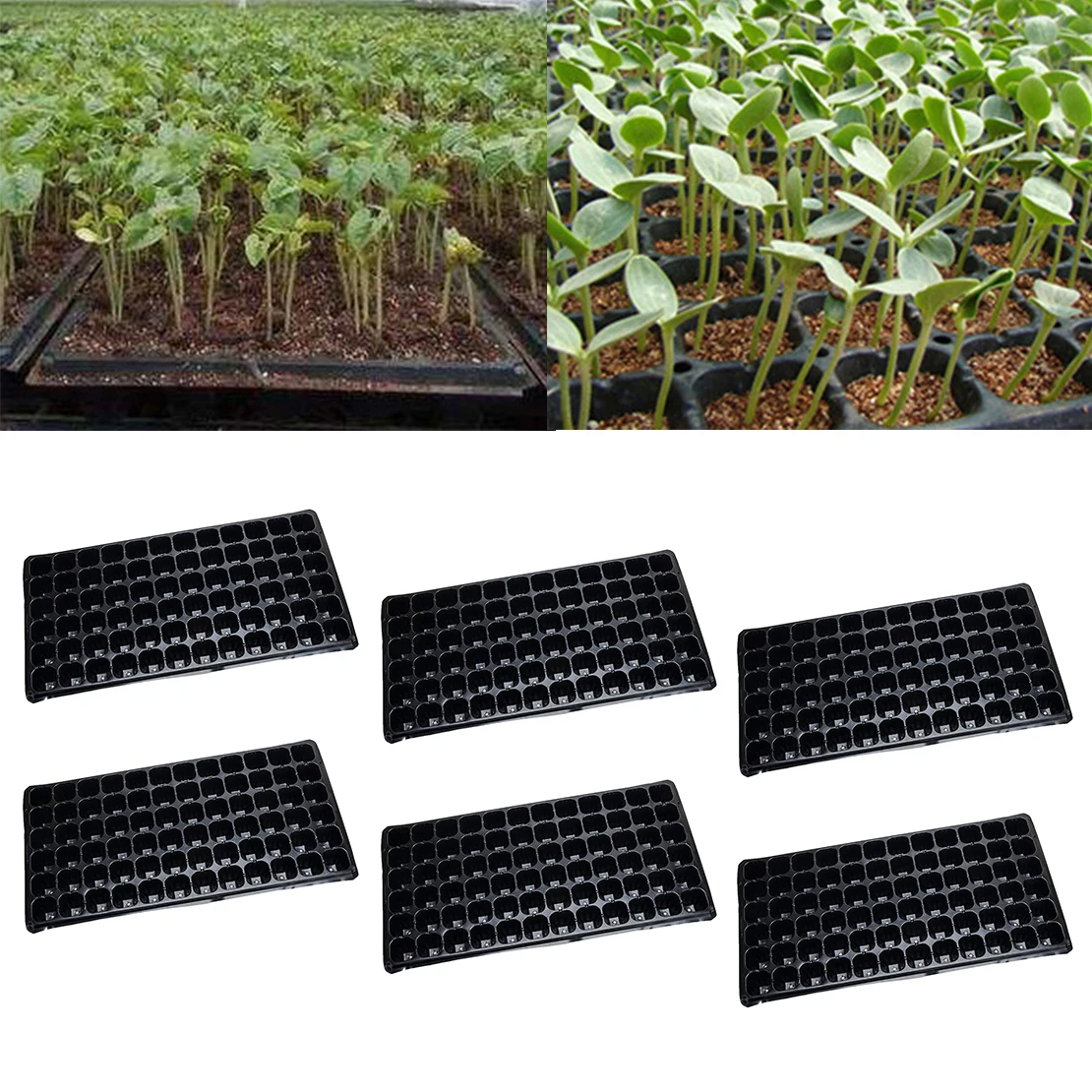 6Pcs 72 Cells Seed Starter Tray Seedling Germination Nursery Starting Grow Pot Black Plastic for Garden Plant Flower Herbs