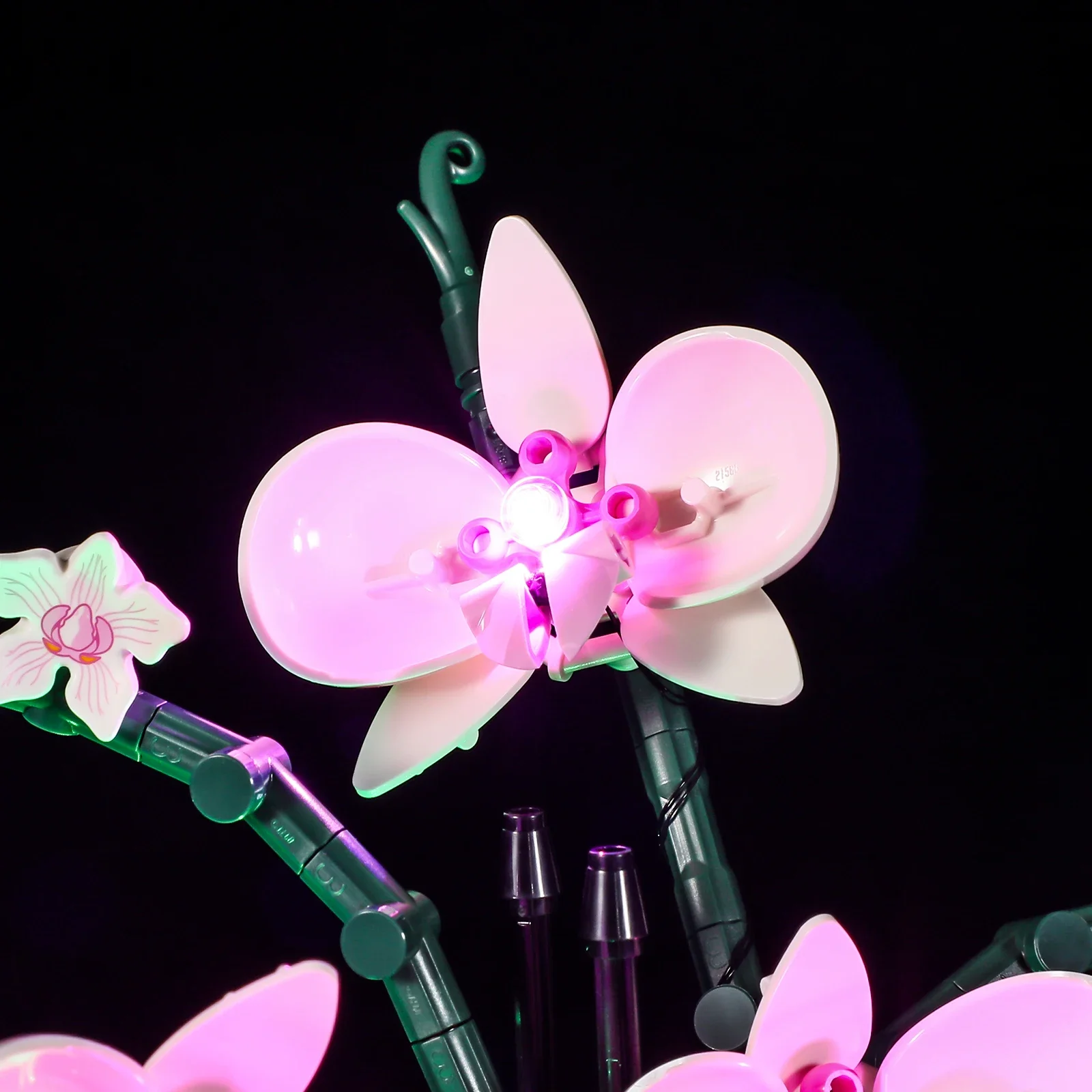 Botanical Collection Lighting Set For 10311 Orchid Flower Not Include Building Blocks (Only Led Light Kit)