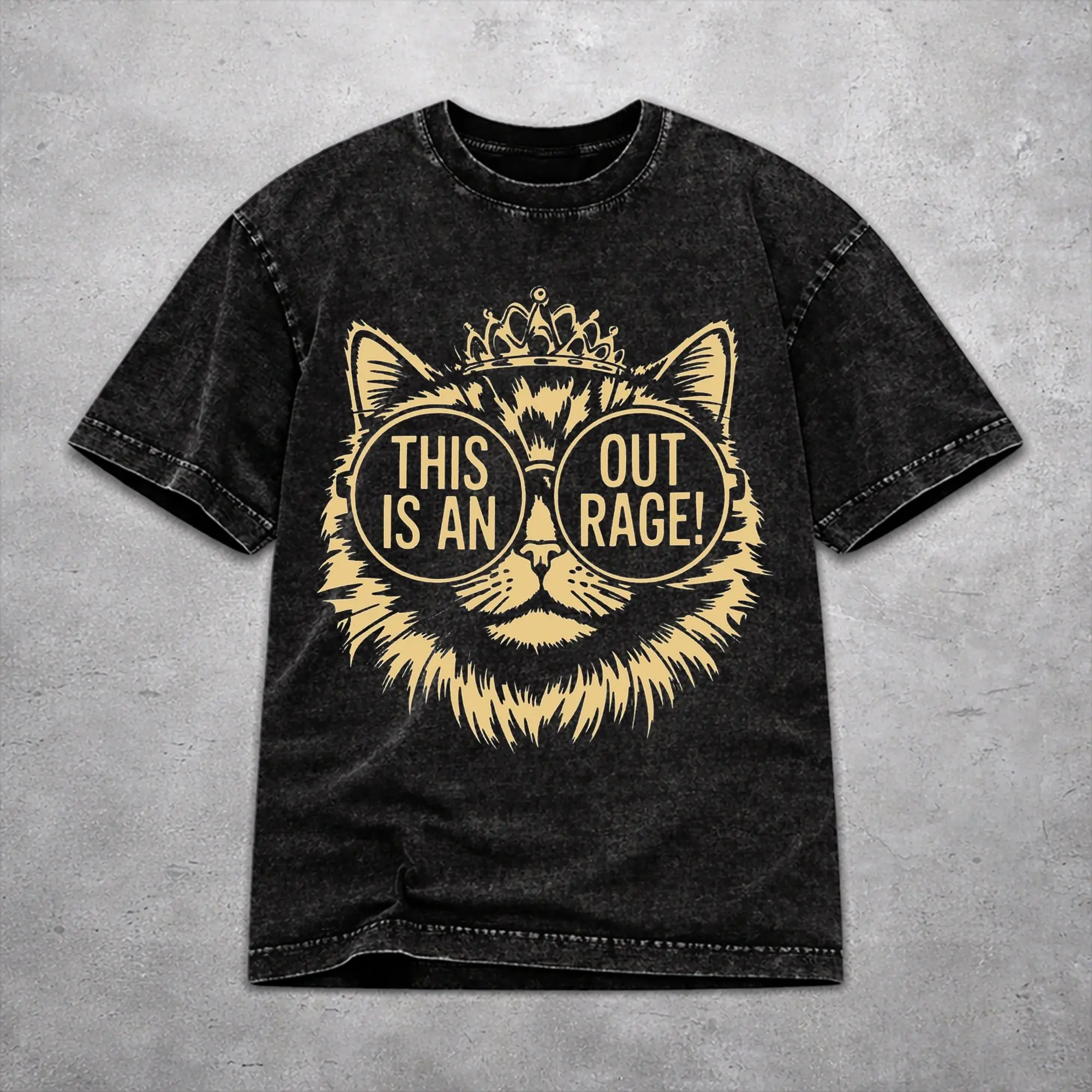 Women Men This Is An Outrage Princess Donut Cat  T Shirt Graphic Printed Vintage Washed  Harajuku T-Shirts