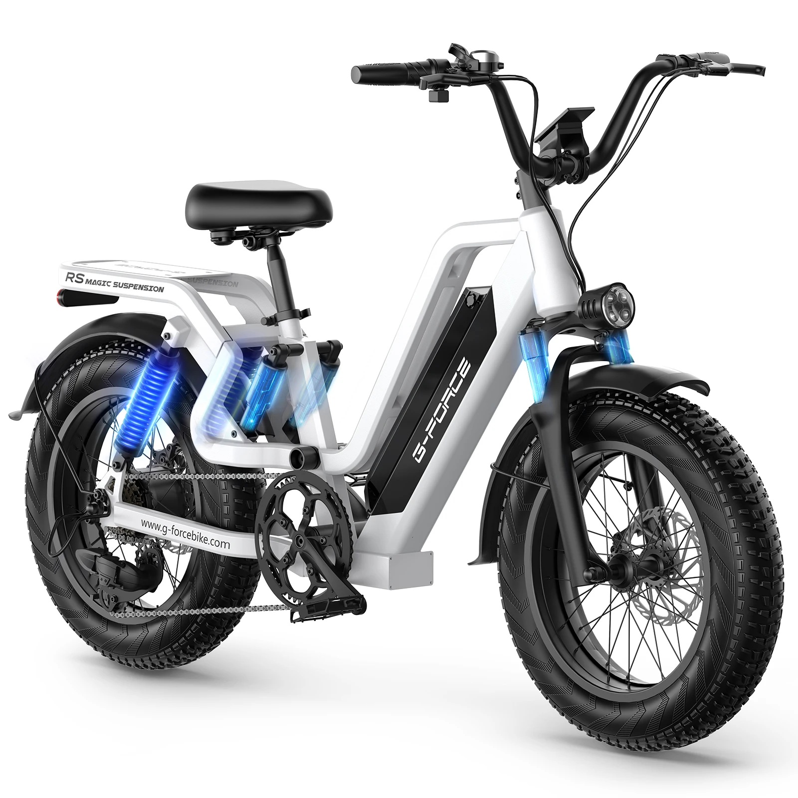 New Electric Bicycle 750W motor 48V 25AH lithium battery Adult Electric Bike 20*4.0 fat tire Mountain Electric bicycle 50KM/H